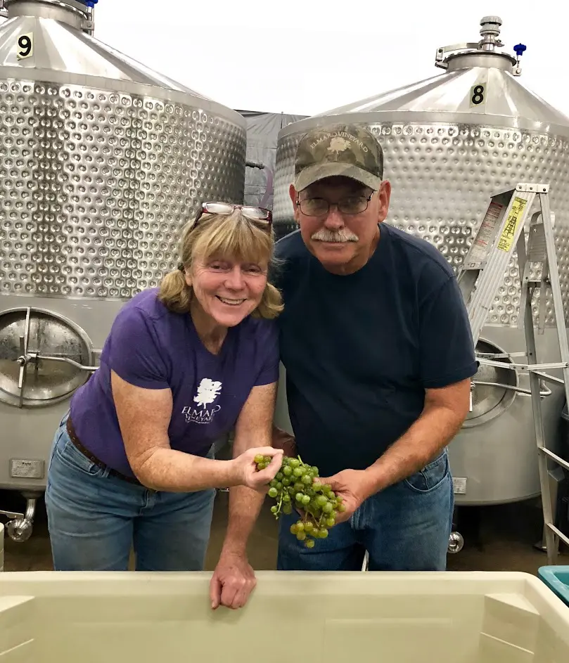 A man and woman standing in front of a bunch of grapes.