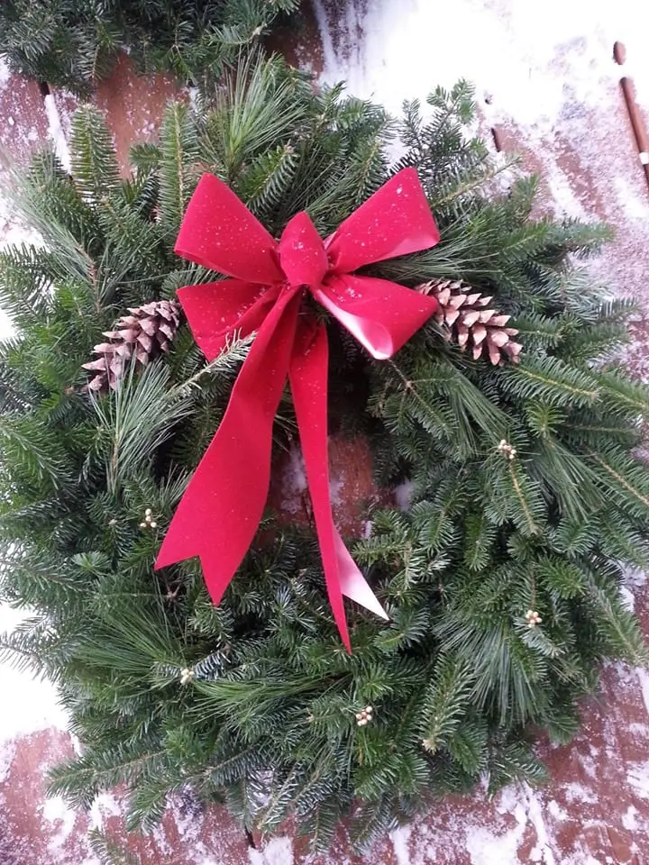 A christmas wreath with a red bow and pine cones.
