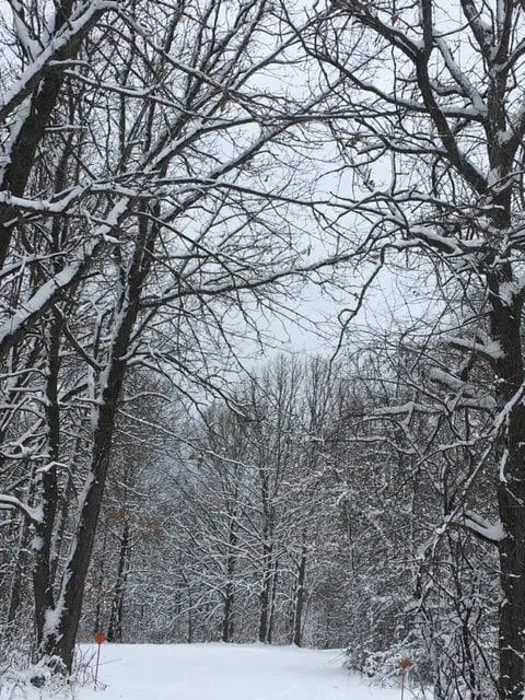 A snow covered trail with trees in the background.
