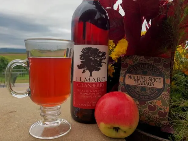 A glass of apple cider sits next to a bottle of apple cider.