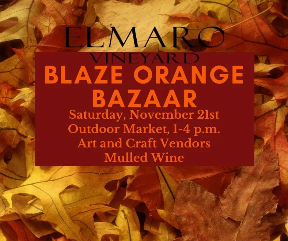 A poster for the blaze orange bazaar.