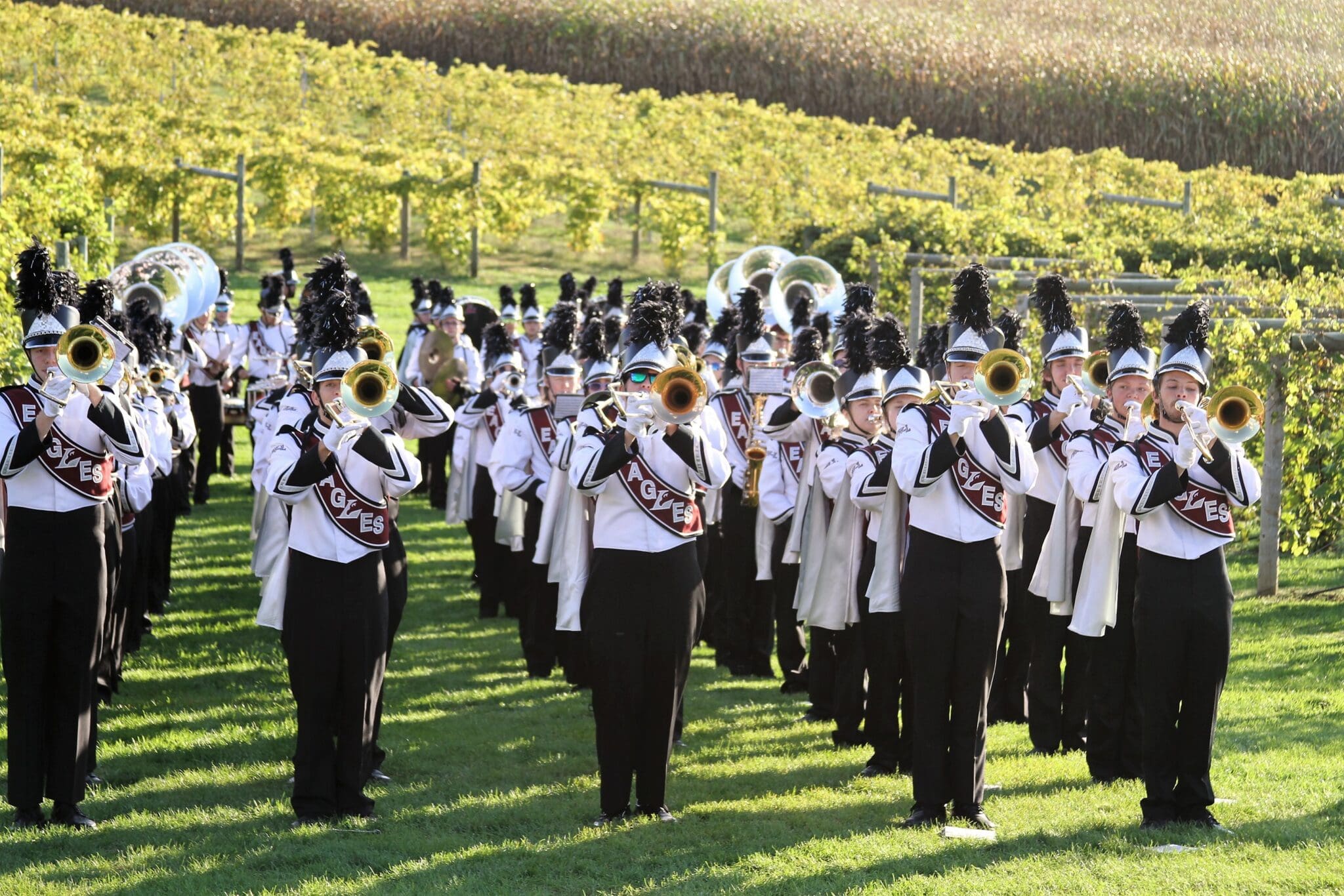 Marching band in front of a vineyard.