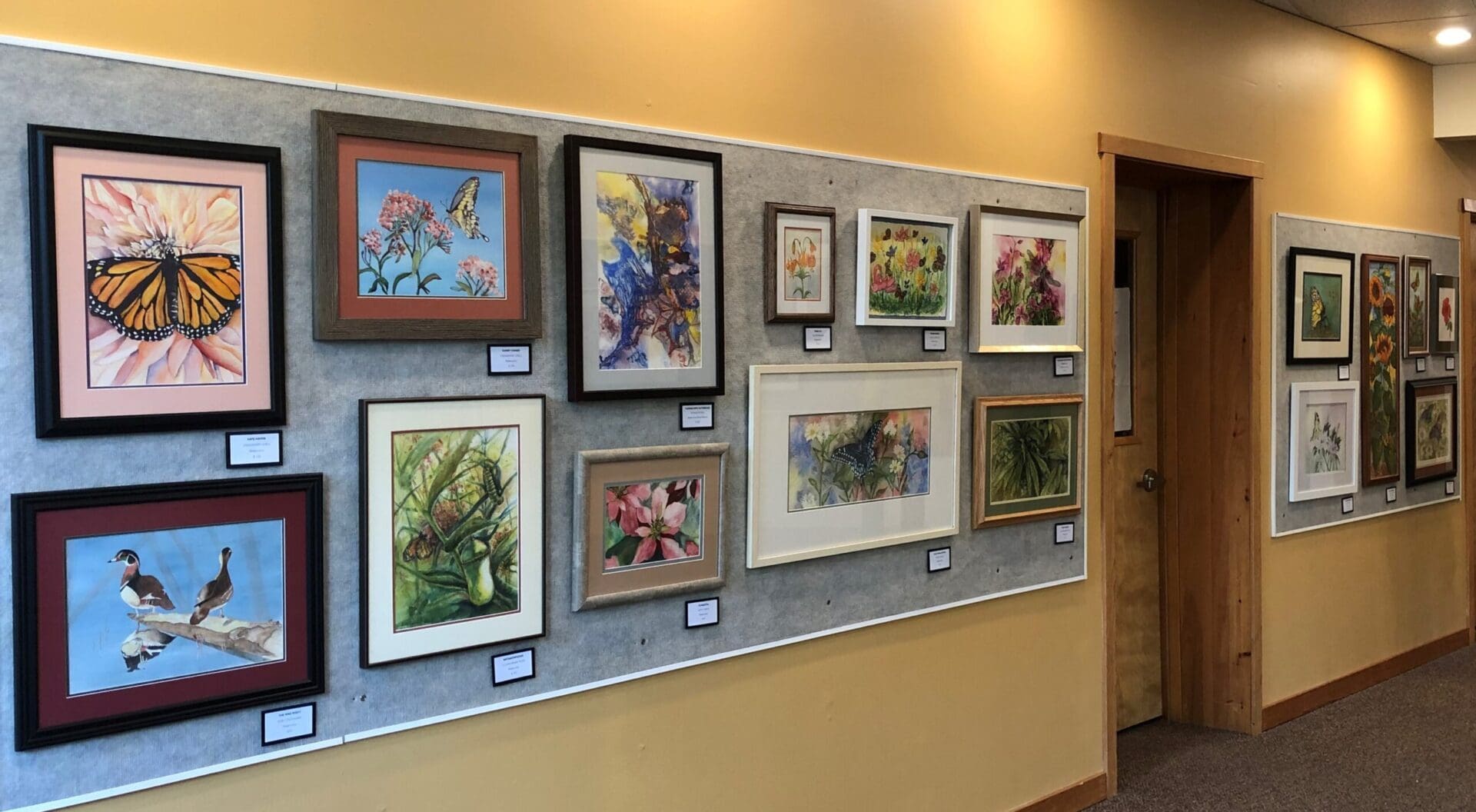 A display of framed artwork in a hallway.