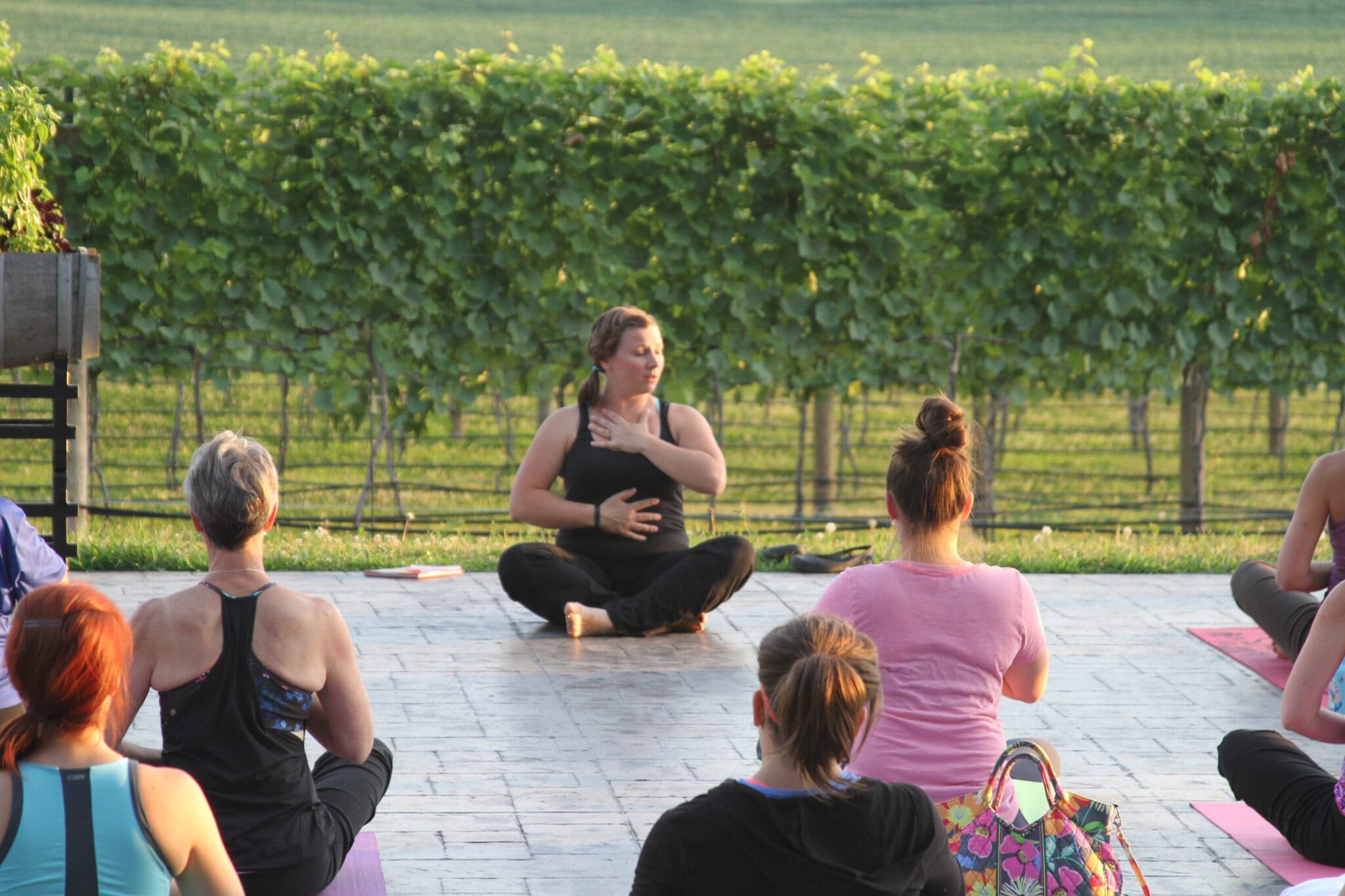 Yoga class outdoors with vineyard background.