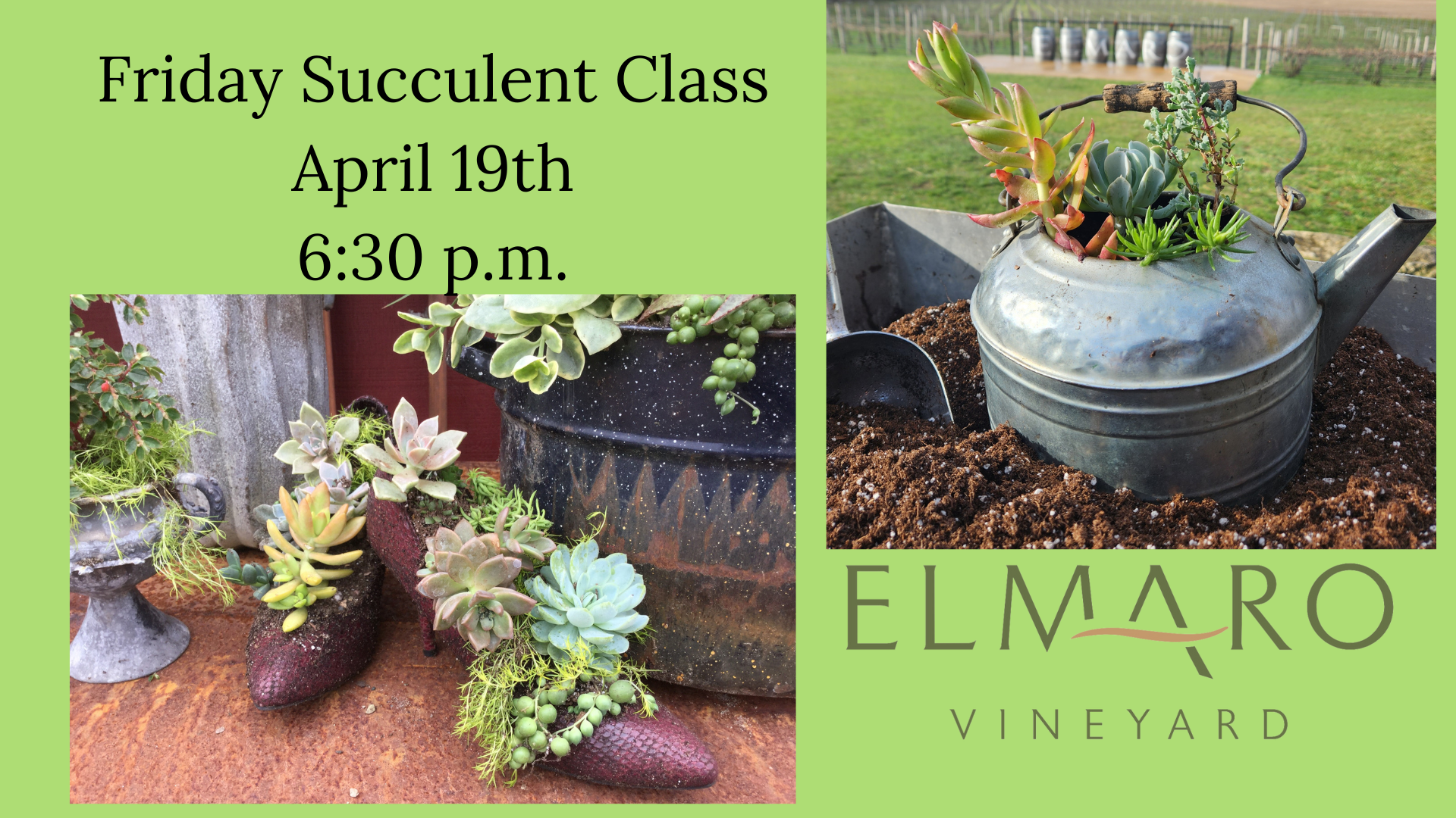 Friday Succulent Class April 19th 630 p.m. (5)