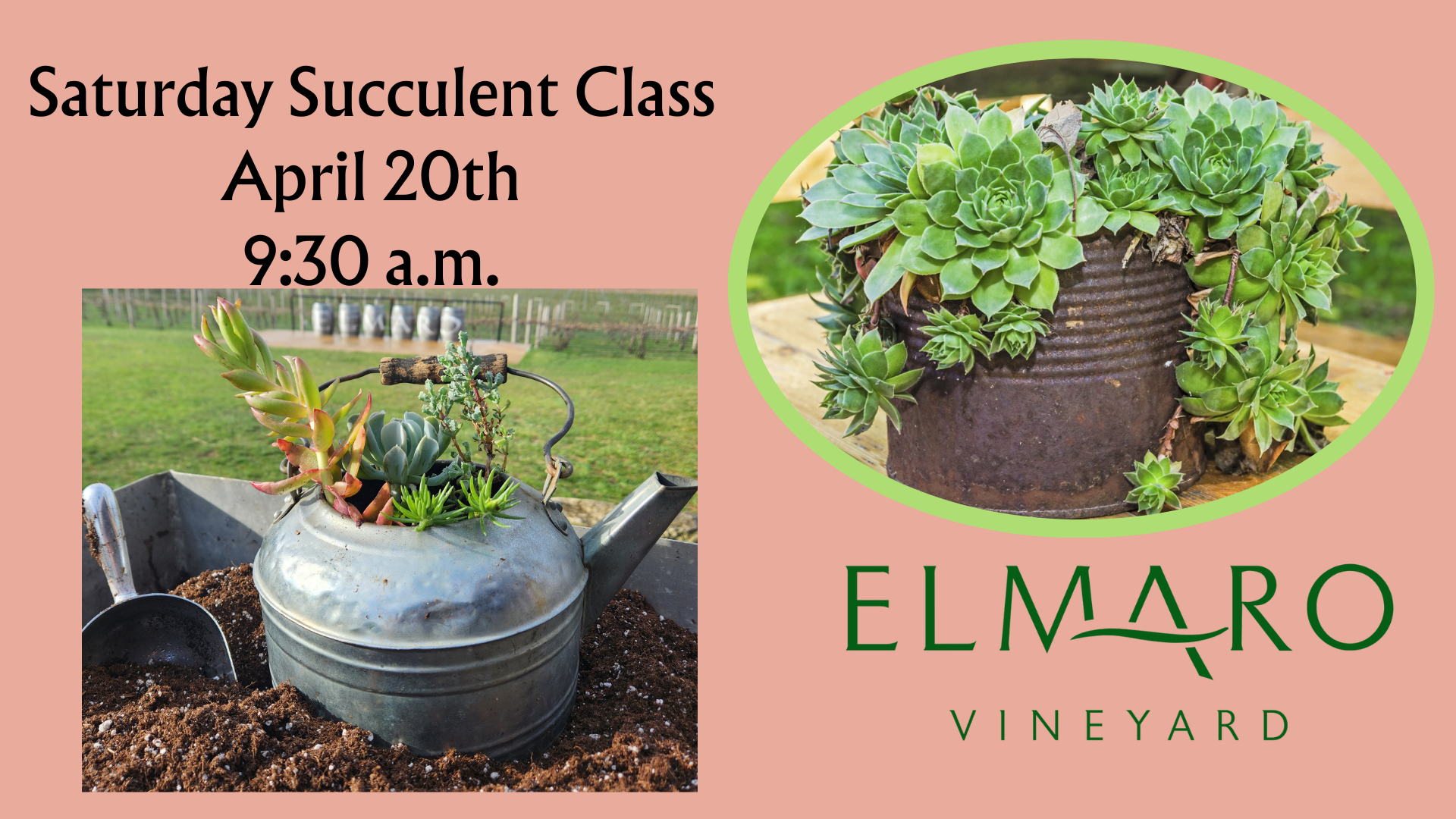 Friday Succulent Class April 19th 630 p.m. (6)