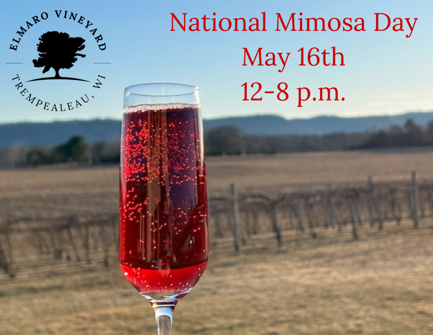 National Mimosa Day May 16th 12-8 p.m.
