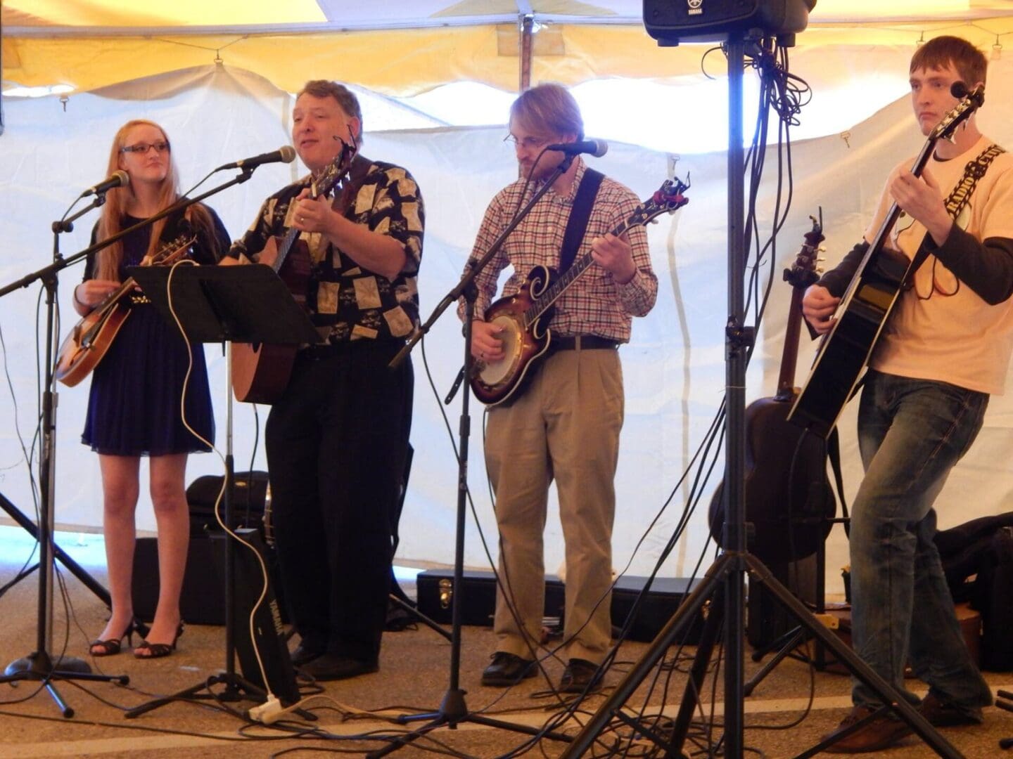 A band playing acoustic instruments on stage.