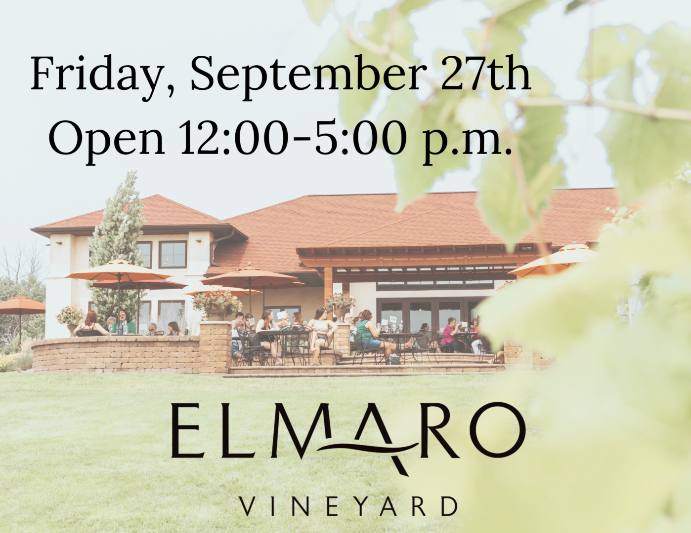 Elmaro Vineyard open Friday, Sept. 27th.