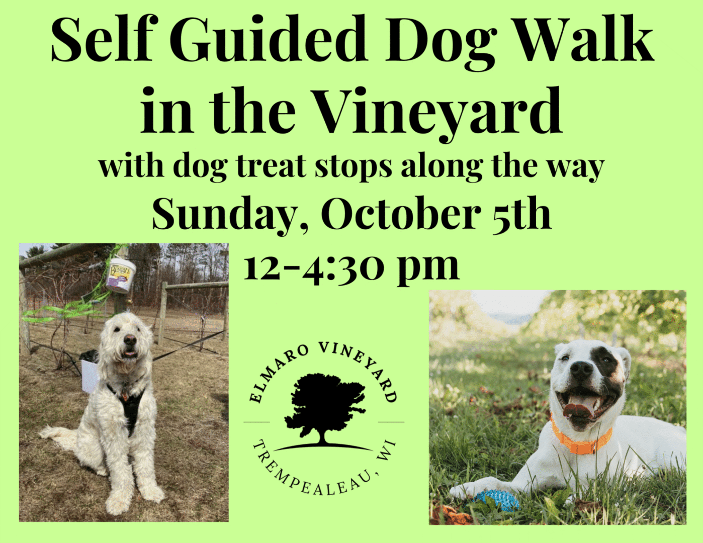 Event poster for a self-guided dog walk at Elmaro Vineyard with dog treats, October 5th, 12-4:30 pm.