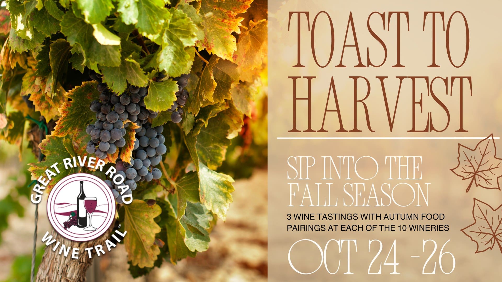 Grapevines and wine event details for Great River Road Wine Trail in fall.