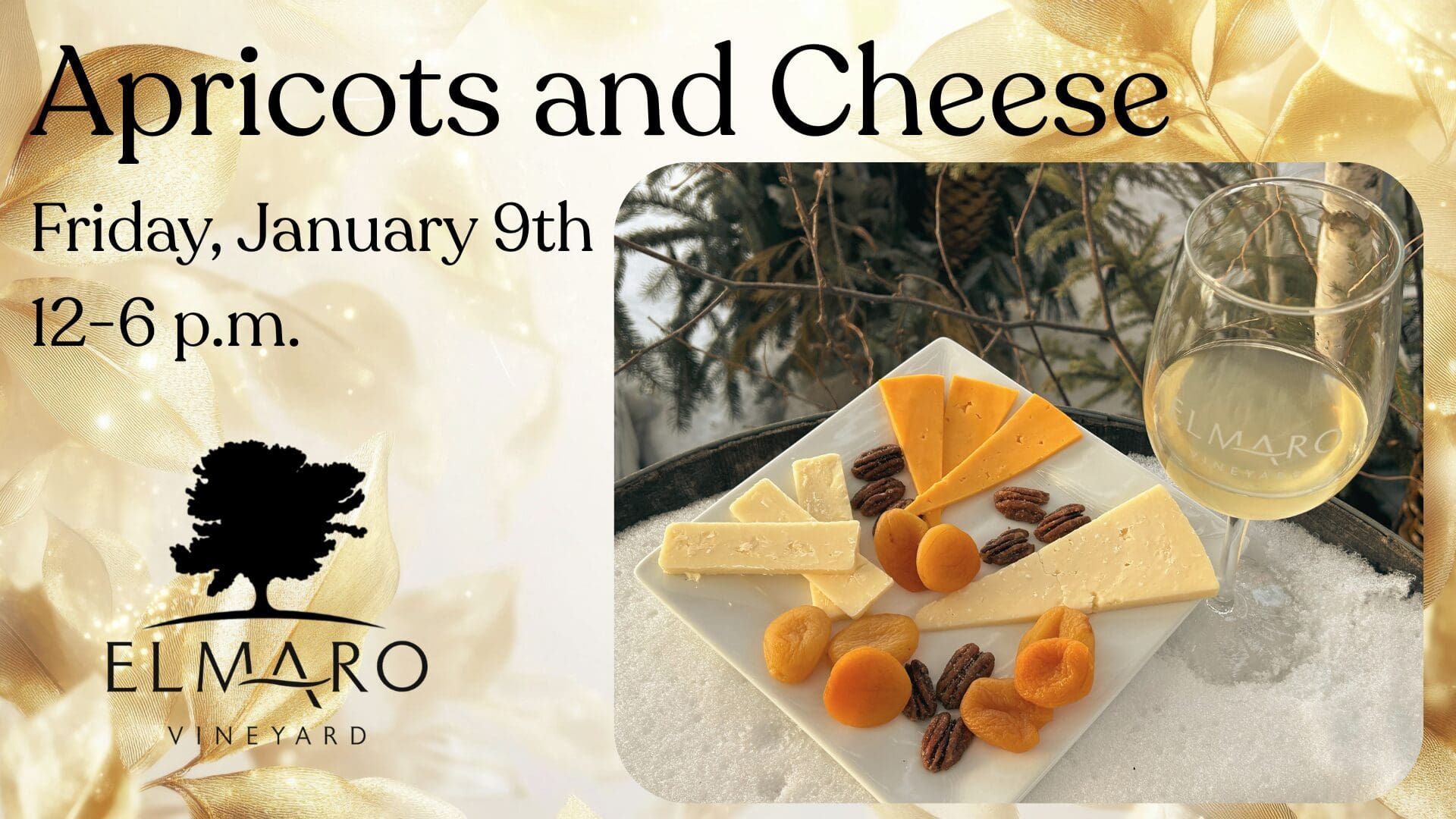 Apricots and Cheese event at Elmaro Vineyard on January 9th, 12-6 p.m.