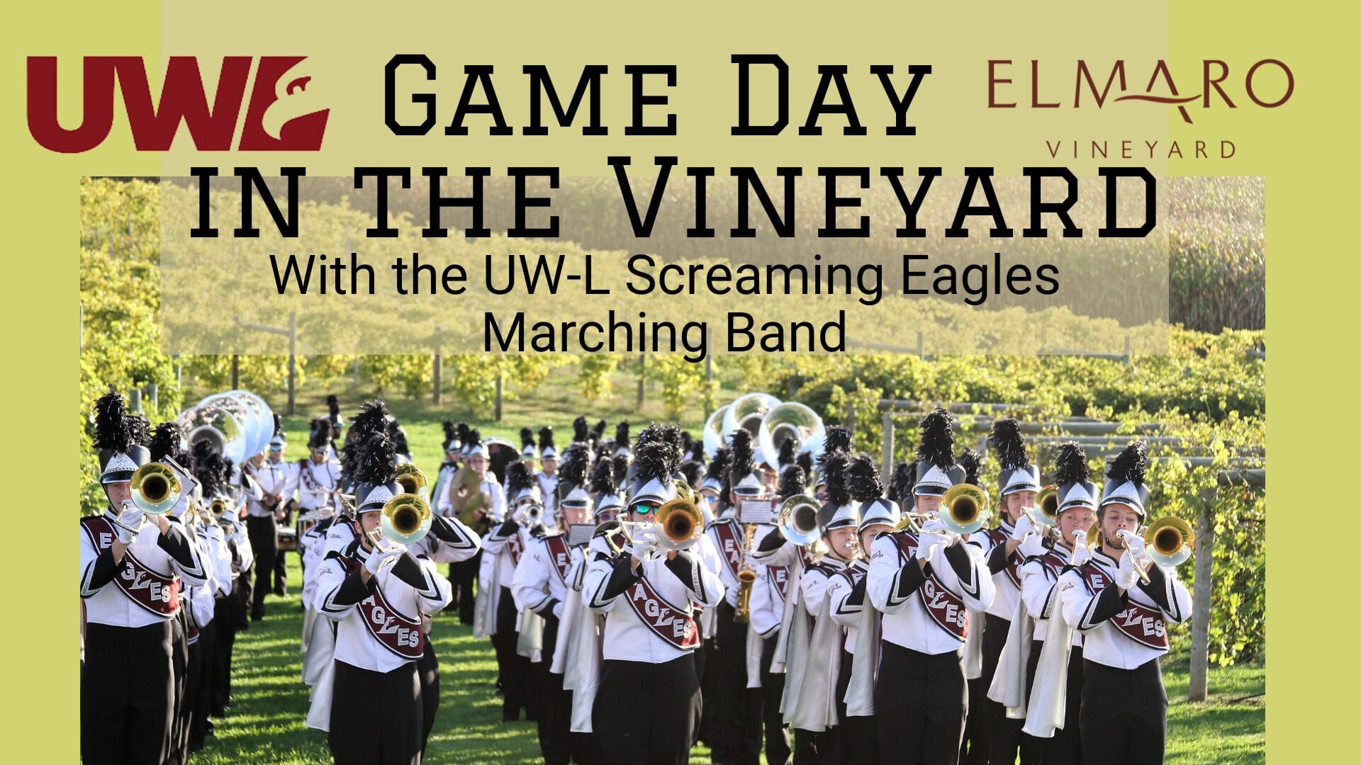 Game Day in the Vineyard (1)
